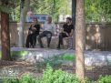 گزارش تصویری | ثبت نام نو دانشجویان سال تحصیلی 98 - 97 